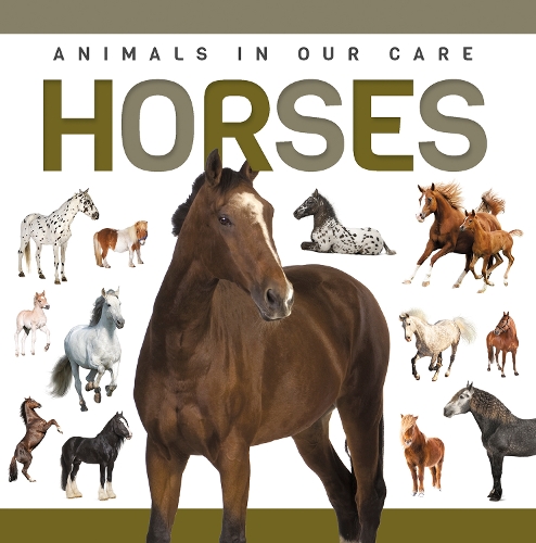 Бумажная книга «Horses», автор Алекс Холл - фото №1