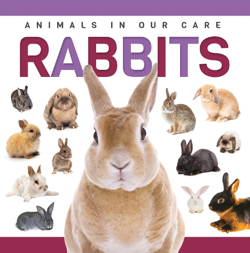 Бумажная книга «Rabbits», автор Алекс Холл - фото №1