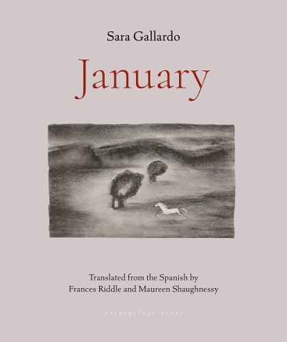 Бумажная книга «January», автор Сара Галлардо - фото №1