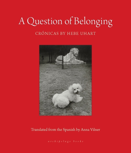 Паперова книга «A Question Of Belonging: Cronicas», авторів Анна Вілнер, Хебе Ухарт - фото №1
