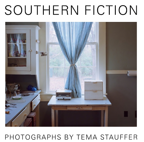 Паперова книга «Southern Fiction», автор Тема Штауффер - фото №1