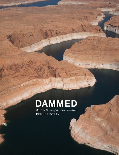 Бумажная книга «Dammed», автор Дебби Бентли - фото №1