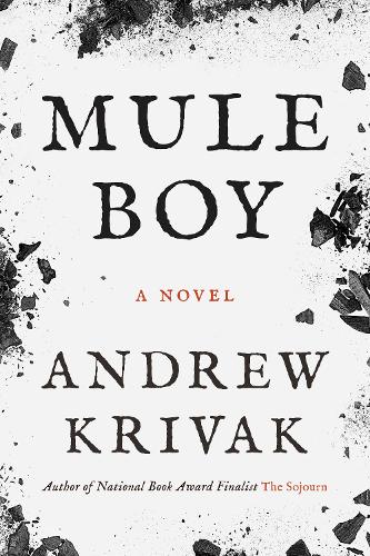 Паперова книга «Mule Boy», автор Ендрю Крівак - фото №1