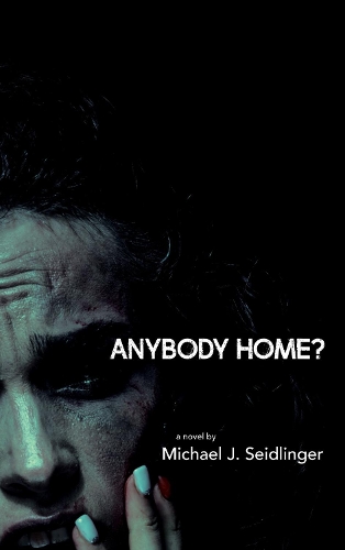 Бумажная книга «Anybody Home?», автор Майкл Дж. Зайдлингер - фото №1