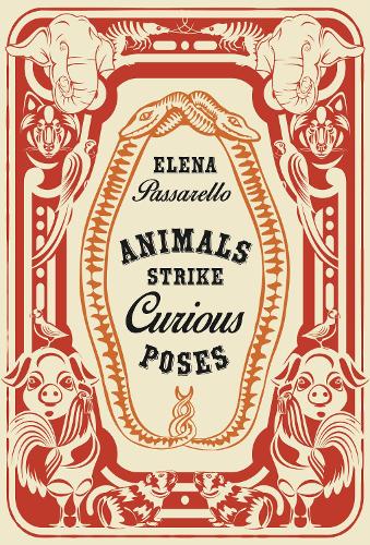 Паперова книга «Animals Strike Curious Poses», автор Елена Пассарелло - фото №1
