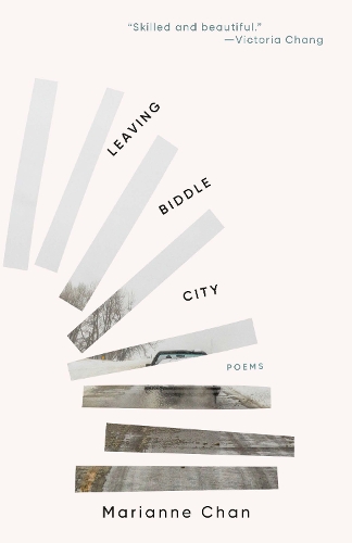 Бумажная книга «Leaving Biddle City», автор Марианна Чан - фото №1