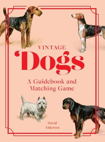Бумажная книга «Vintage Dogs: A Guidebook and Matching Game», автор Дэвид Олдертон - фото №1