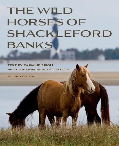 Паперова книга «Wild Horses of Shackleford Banks», авторів Кармін Пріолі, Скотт Тейлор - фото №1