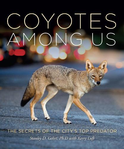 Бумажная книга «Living With Coyotes: Understanding the Ghost Dogs of Urban America», автор Стэнли Д. Герт - фото №1