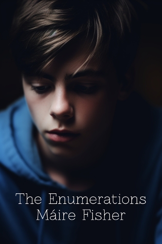Бумажная книга «The Enumerations», автор Мэйр Фишер - фото №1