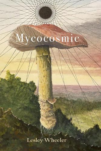 Бумажная книга «Mycocosmic», автор Лесли Уилер - фото №1