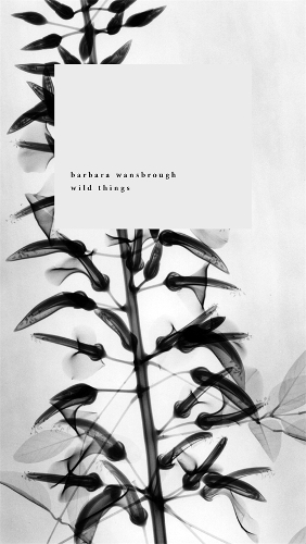Паперова книга «Wild Things: A Geography of Grief», автор Барбара Вансбро - фото №1
