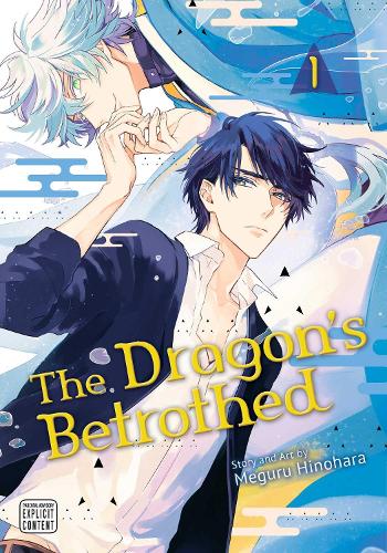Бумажная книга «The Dragon's Betrothed, Vol. 1», автор Мэгуру Хинохара - фото №1