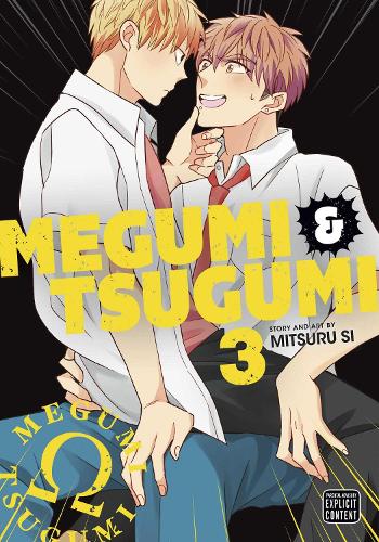 Бумажная книга «Megumi & Tsugumi, Vol. 3», автор Мицуру Си - фото №1