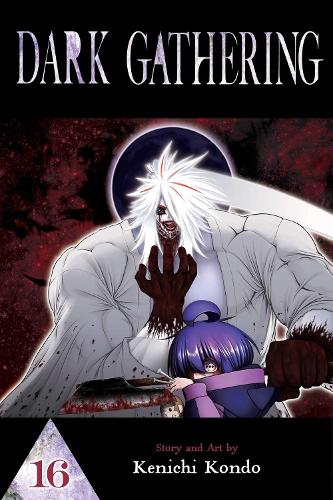 Бумажная книга «Dark Gathering, Vol. 16», автор Кеничи Кондо - фото №1