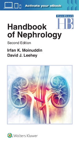 [object Object] «Handbook of Nephrology», авторов Дэвид Дж. Лихи, Ирфан Мойнуддин - фото №1