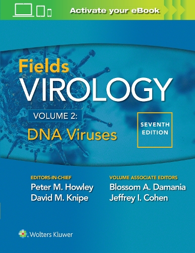 Бумажная книга «Fields Virology: DNA Viruses», авторов Блоссом А. Дамания, Джеффри Л. Коэн, Питер М. Хоули - фото №1