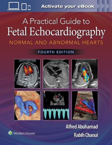 Бумажная книга «A Practical Guide to Fetal Echocardiography: Normal and Abnormal Hearts», авторов Альфред З. Абухамад, Рабих Чауи - фото №1