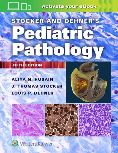 Бумажная книга «Stocker and Dehner's Pediatric Pathology», автор Алия Н. Хусайн - фото №1