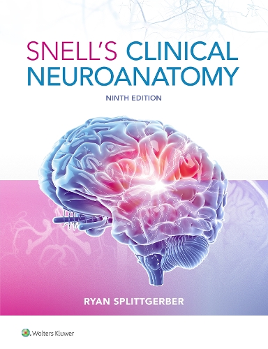 Бумажная книга «Snell's Clinical Neuroanatomy», автор Райан Сплитгербер - фото №1