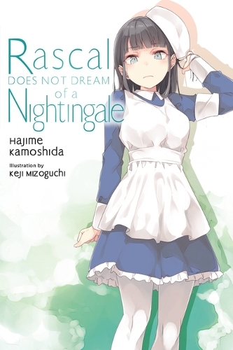 Бумажная книга «Rascal Does Not Dream, Vol. 11 (light novel)», автор Хаджиме Камошида - фото №1