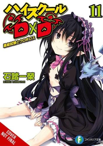 Бумажная книга «High School DxD, Vol. 11 (light novel)», автор Ичиэи Исибуми - фото №1