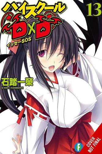 Бумажная книга «High School DxD, Vol. 13 (light novel)», автор Ичиэи Исибуми - фото №1