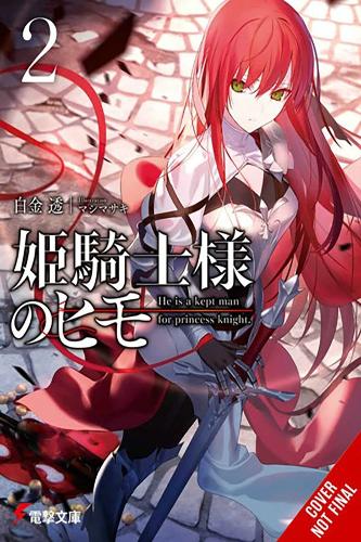 Бумажная книга «The Kept Man of the Princess Knight, Vol. 2» - фото №1