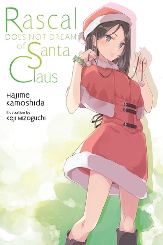 Бумажная книга «Rascal Does Not Dream of Santa Claus (light novel)», автор Хаджиме Камошида - фото №1