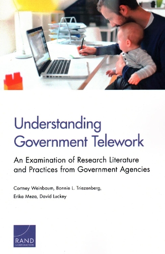 Бумажная книга «Understanding Government Telework: An Examination of Research Literature and Practices from Government Agencies», автор Эрика Меза - фото №1