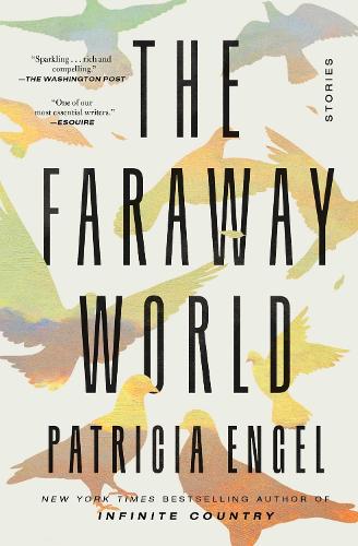 Бумажная книга «The Faraway World: Stories» - фото №1