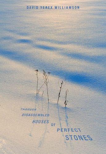 Бумажная книга «Through Disassembled Houses of Perfect Stones», автор Дэвид Уильямсон - фото №1