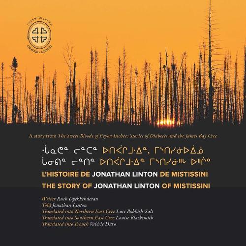 Бумажная книга «L'histoire de Jonathan Linton de Mistissini: The Story of Jonathan Linton of Mistissini», автор Рут Дайкфедероу - фото №1