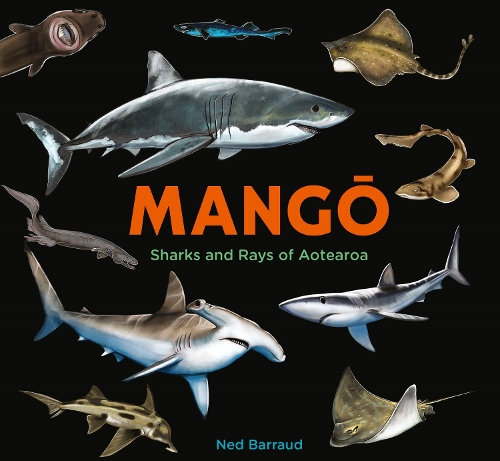 Паперова книга «Mango: Sharks and Rays of Aotearoa», автор Нед Барро - фото №1