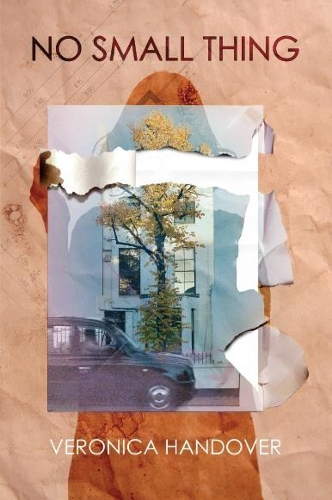 Паперова книга «No Small Thing», автор Вероніка Хендовер - фото №1