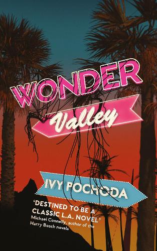 Паперова книга «Wonder Valley», автор Айві Почода - фото №1