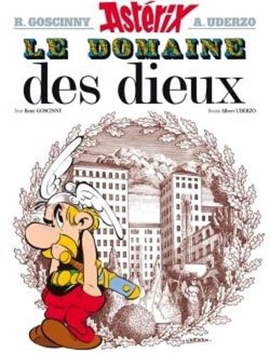 Бумажная книга «Le domaine des dieux», автор Рене Госинни - фото №1