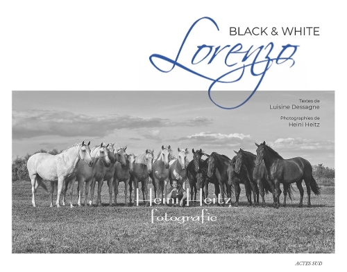 Бумажная книга «Lorenzo Black & White», автор Луизин Дессань - фото №1