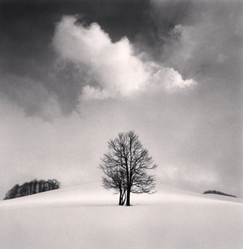 Бумажная книга «Michael Kenna: Constellation» - фото №1