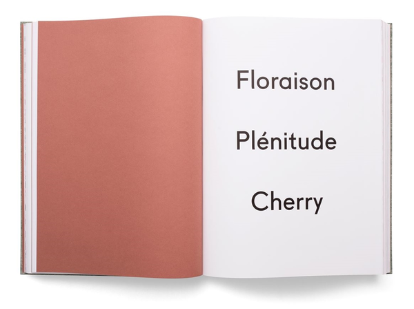 Бумажная книга «Damien Hirst. Cherry Blossoms», автор Дэмьен Херст - фото №1