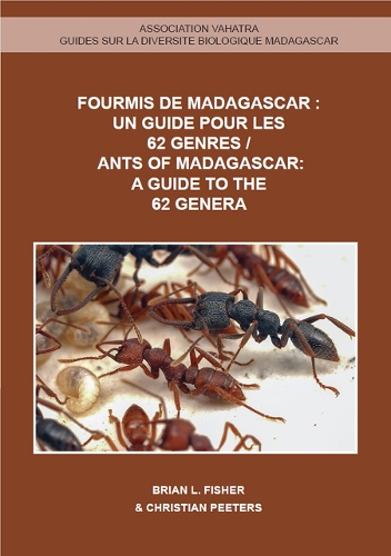 Паперова книга «Ants of Madagascar: A Guide to the 62 Genera», авторів Брайан Л. Фішер, Кристиан Пеетерс - фото №1