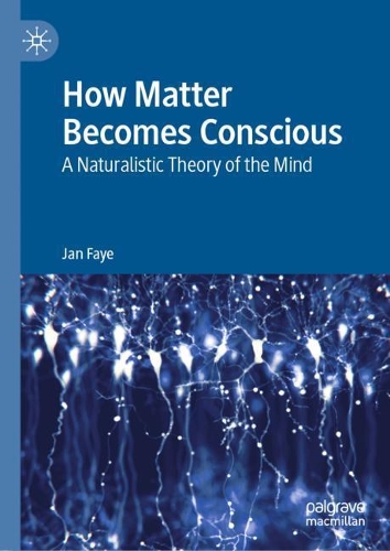 Паперова книга «How Matter Becomes Conscious: A Naturalistic Theory of the Mind», автор Джен Фей - фото №1