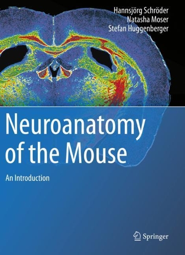 Бумажная книга «Neuroanatomy of the Mouse: An Introduction», авторов Ханнсйорг Шрёдер, Наташа Мозер, Штефан Хуггенбергер - фото №1
