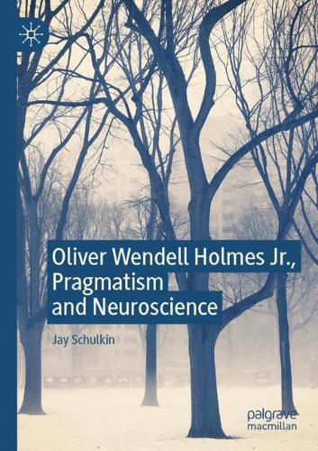 Паперова книга «Oliver Wendell Holmes Jr., Pragmatism and Neuroscience», автор Джей Шулькін - фото №1
