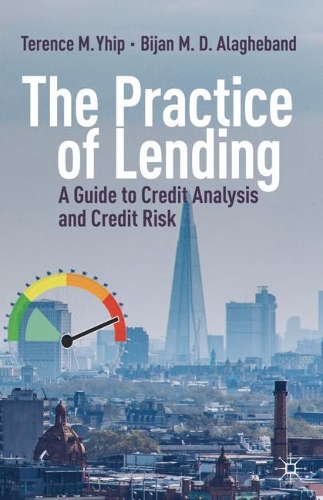 Паперова книга «The Practice of Lending: A Guide to Credit Analysis and Credit Risk», авторів Біжан М. Д. Алагебанд, Теренс М. Йіп - фото №1