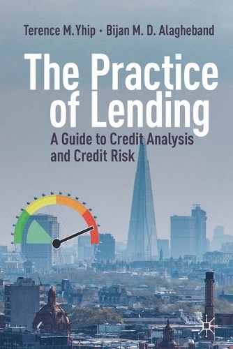 Паперова книга «The Practice of Lending: A Guide to Credit Analysis and Credit Risk», авторів Біжан М. Д. Алагебанд, Теренс М. Йіп - фото №1