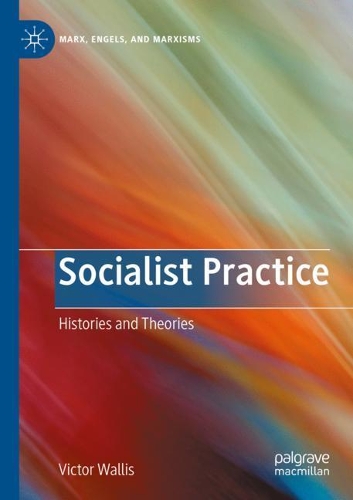 Паперова книга «Socialist Practice: Histories and Theories», автор Віктор Волліс - фото №1