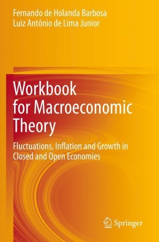 Бумажная книга «Workbook for Macroeconomic Theory: Fluctuations, Inflation and Growth in Closed and Open Economies», авторов Фернандо де Оланда Барбоза, Луис Антонио де Лима Жуниор - фото №1