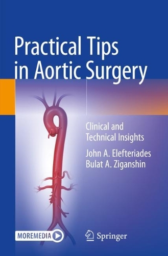 Бумажная книга «Practical Tips in Aortic Surgery : Clinical and Technical Insights», авторов Булат А. Зиганшин, Джон А. Элефтериадес - фото №1