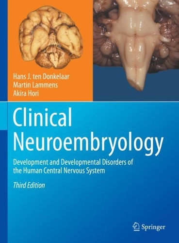 Бумажная книга «Clinical Neuroembryology: Development and Developmental Disorders of the Human Central Nervous System», авторов Акира Хори, Ханс Й. тен Донкелаар, Мартин Ламменс - фото №1